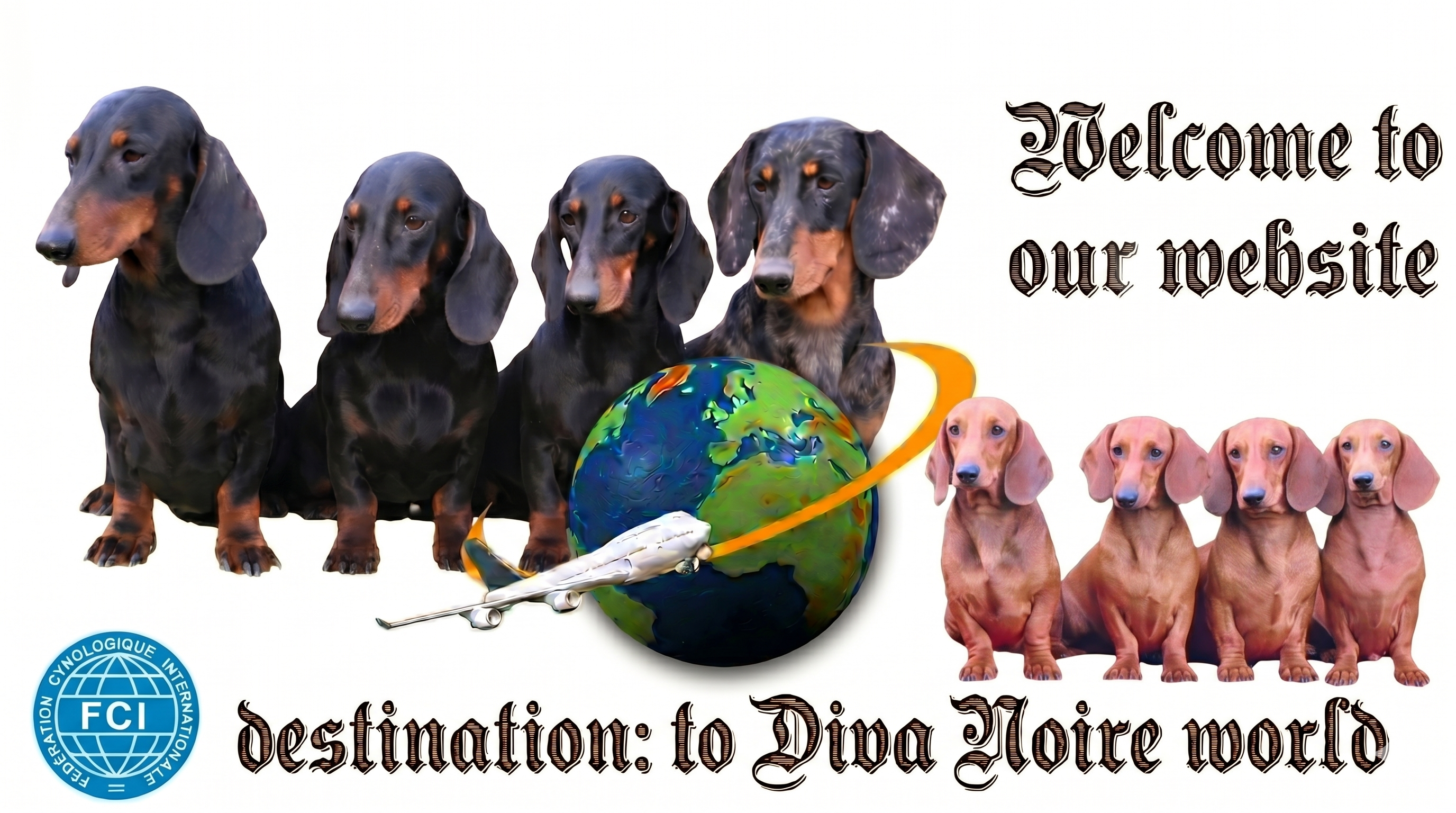 Diva Noire World