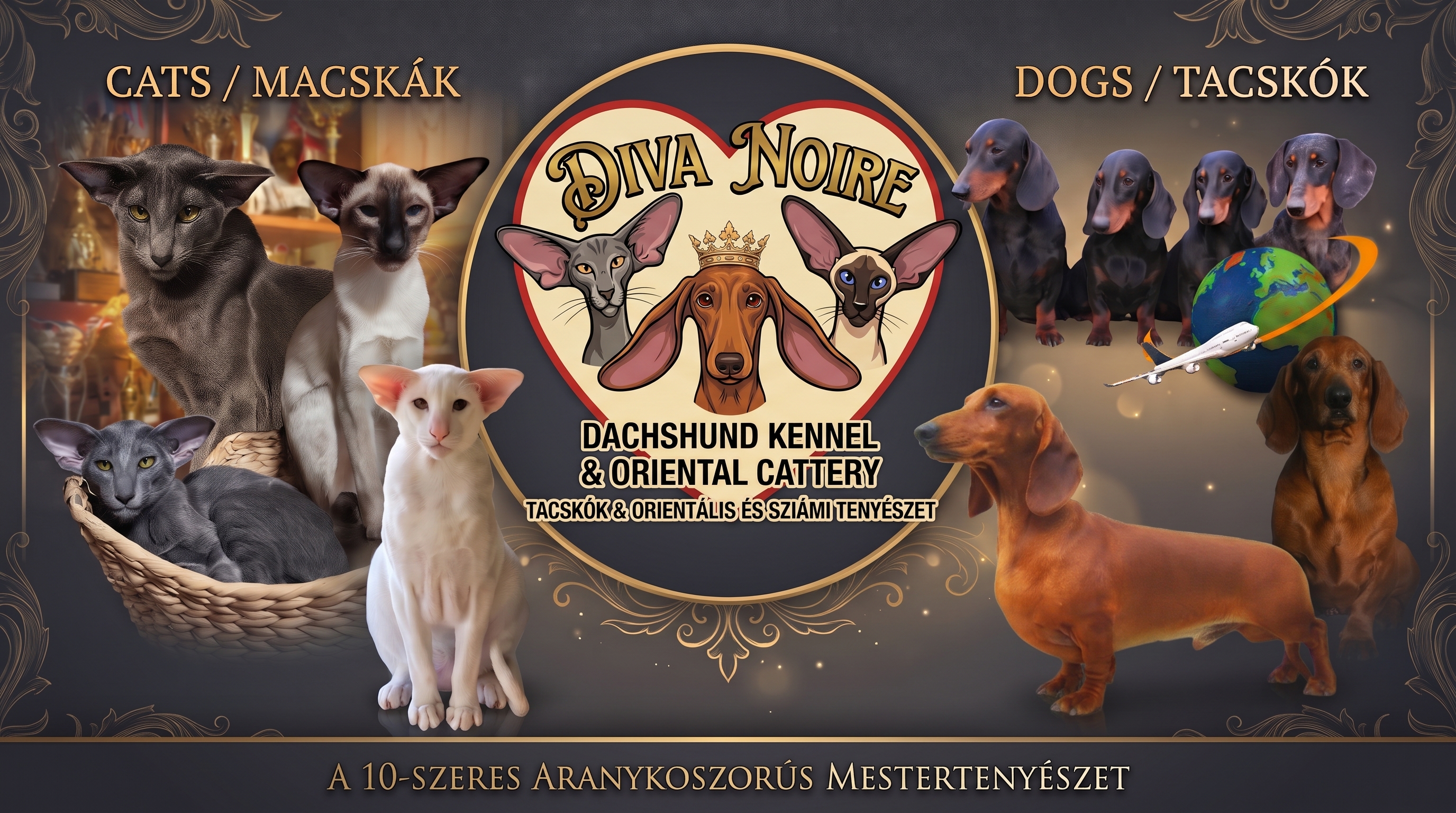 Diva Noire Kennel & Cattery