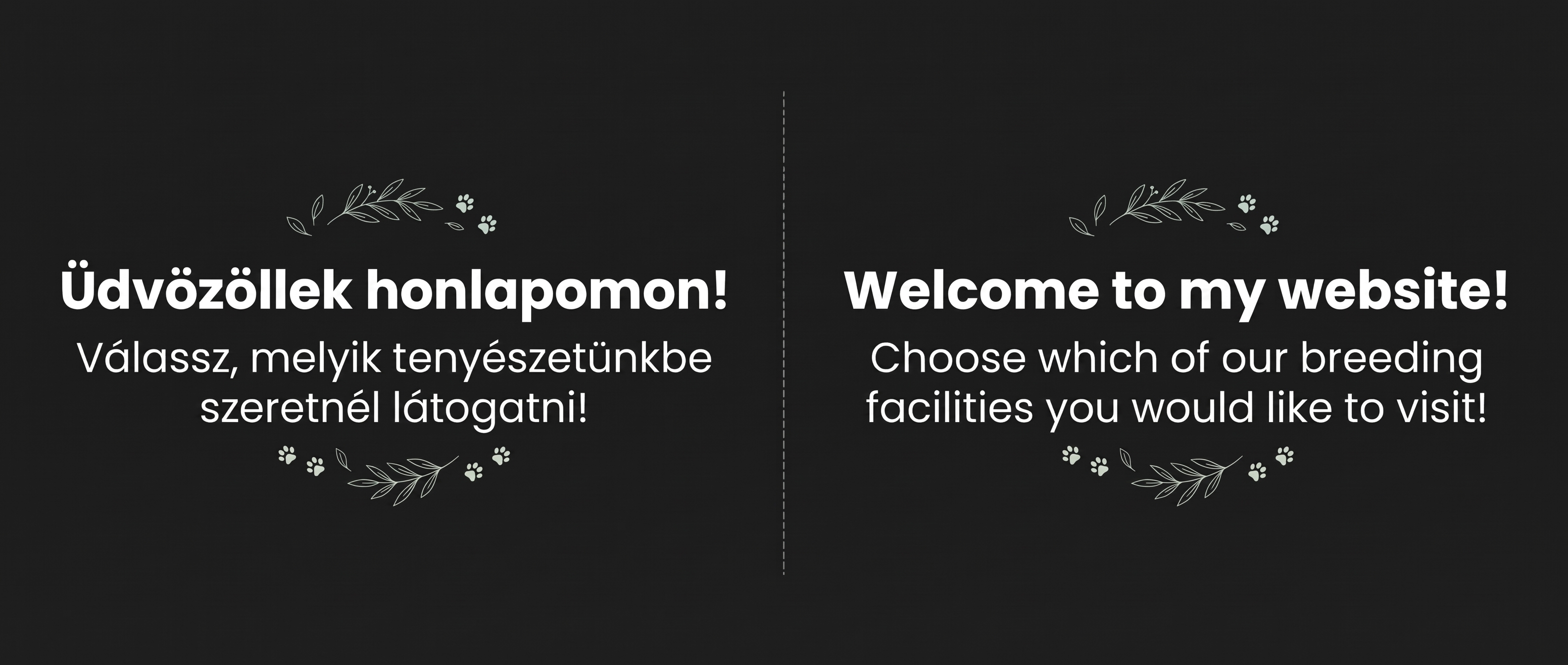 Üdvözöllek honlapomon! Welcome to my website!